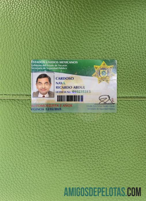 Carteira de motorista do estado de Yucatán no México fotolook frente modelo